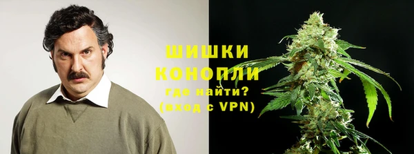 кокс Арсеньев