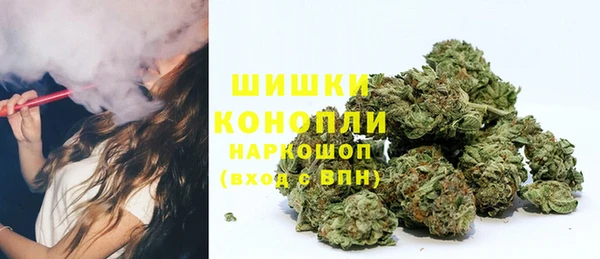 кокс Арсеньев