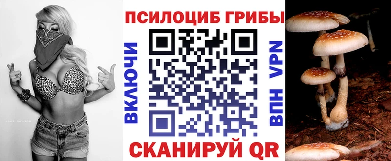 Галлюциногенные грибы Psilocybine cubensis  Шумиха 