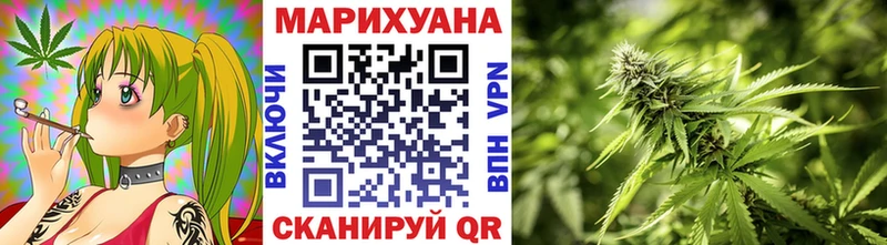 Бошки марихуана OG Kush  Шумиха 